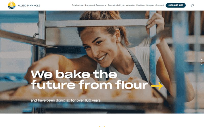 Allied Pinnacle website home page